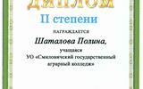 КОНКУРС слайд-шоу МАРУГА, МУКОВОЗЧИК_page-0001 (1)